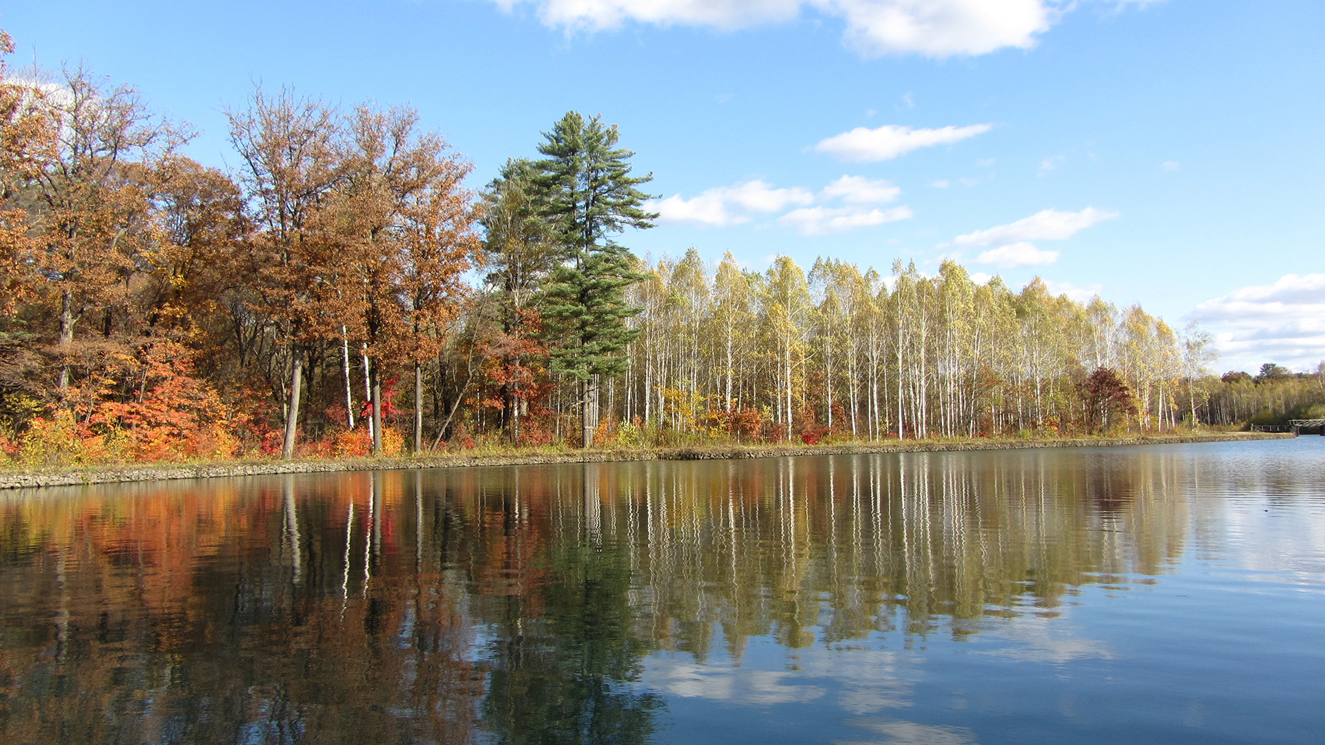 ����ʡ����ɽɭ��