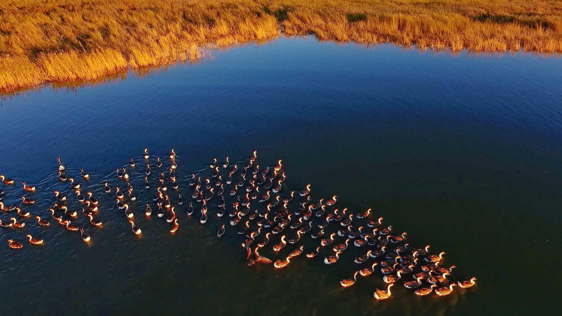 ����ʡ����ɽҰѼ