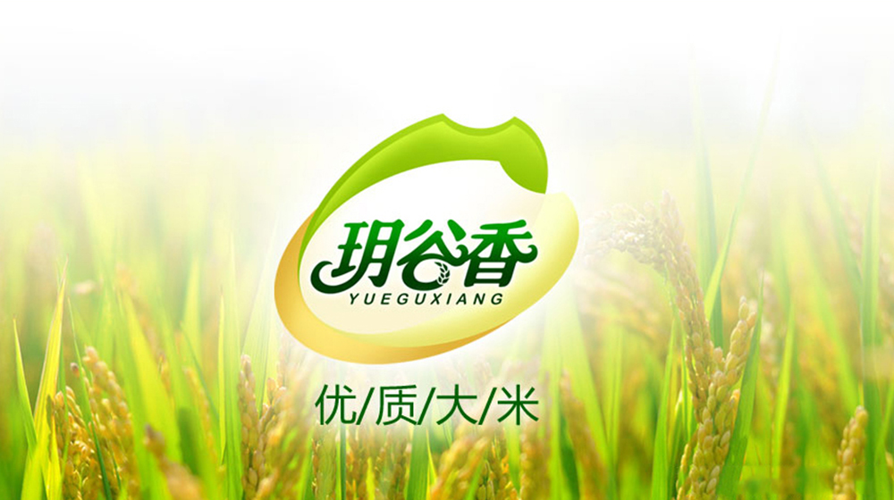 ���ͱ�����