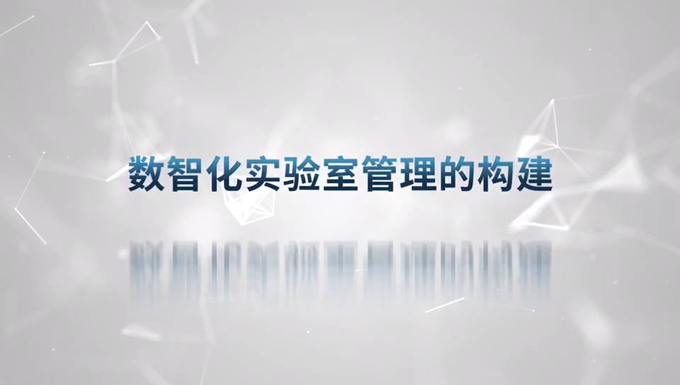 ������Ƶ�����������